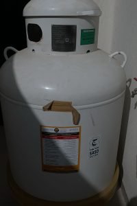 IMG-20250422-WA0016